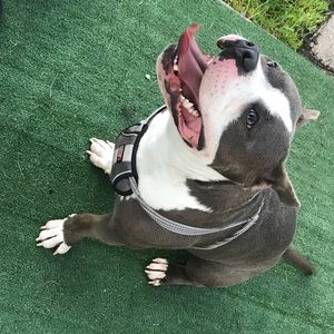 Meet your Posher, Kyanne